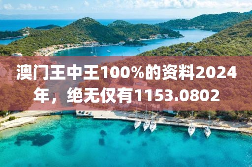 澳门王中王100%的资料2024年，绝无仅有1153.0802