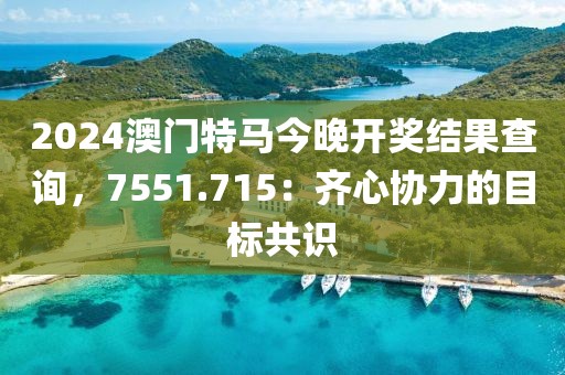 2024澳门特马今晚开奖结果查询，7551.715：齐心协力的目标共识