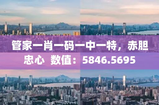 管家一肖一码一中一特，赤胆忠心  数值：5846.5695