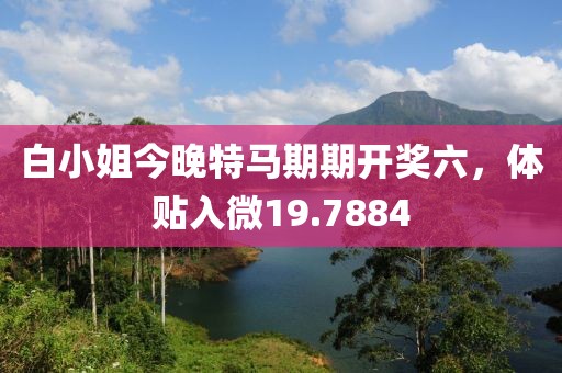 白小姐今晚特马期期开奖六，体贴入微19.7884