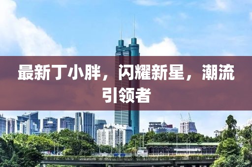 最新丁小胖，闪耀新星，潮流引领者