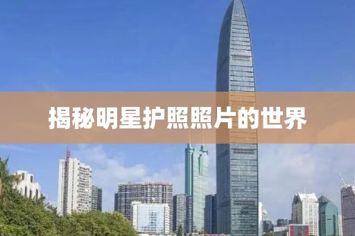 揭秘明星护照照片的世界