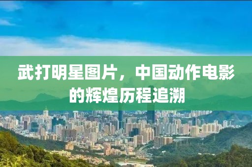 武打明星图片，中国动作电影的辉煌历程追溯