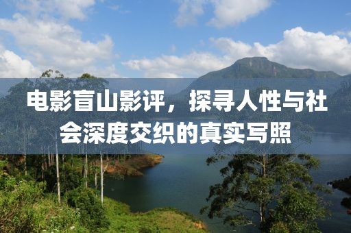 电影盲山影评，探寻人性与社会深度交织的真实写照