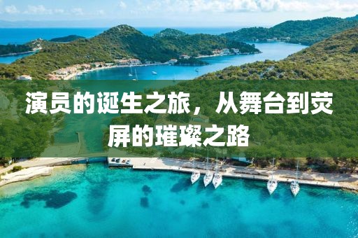 演员的诞生之旅，从舞台到荧屏的璀璨之路