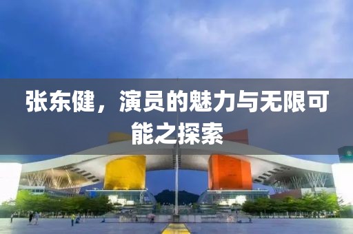 张东健，演员的魅力与无限可能之探索
