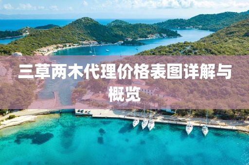 三草两木代理价格表图详解与概览