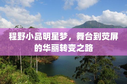 程野小品明星梦，舞台到荧屏的华丽转变之路