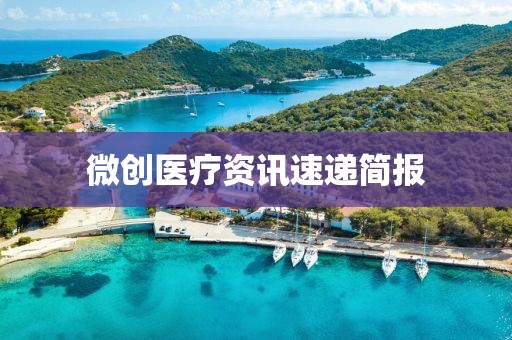 微创医疗资讯速递简报