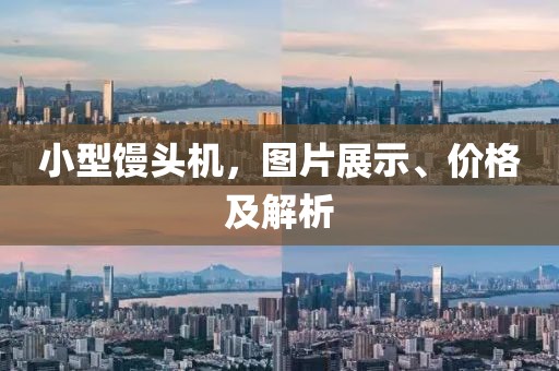 小型馒头机，图片展示、价格及解析