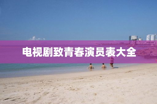 电视剧致青春演员表大全
