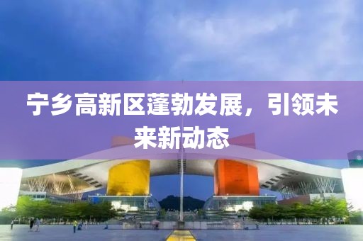 宁乡高新区蓬勃发展，引领未来新动态