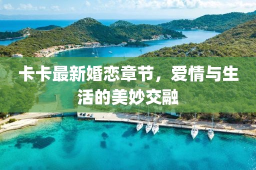 卡卡最新婚恋章节，爱情与生活的美妙交融