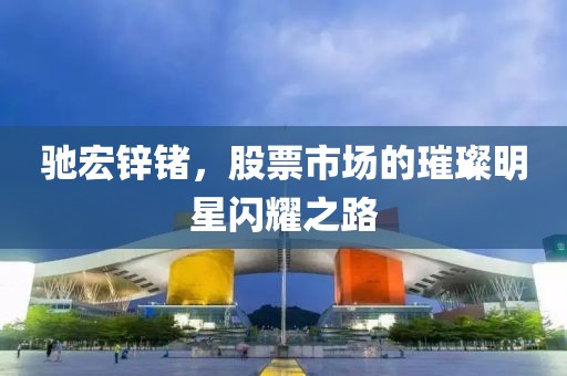 驰宏锌锗，股票市场的璀璨明星闪耀之路