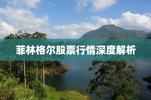 菲林格尔股票行情深度解析
