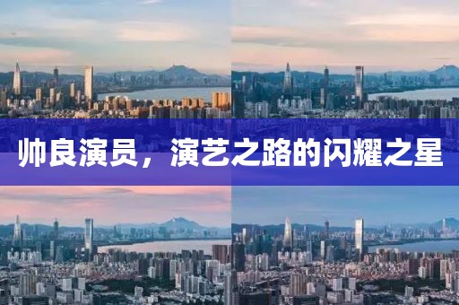 帅良演员，演艺之路的闪耀之星