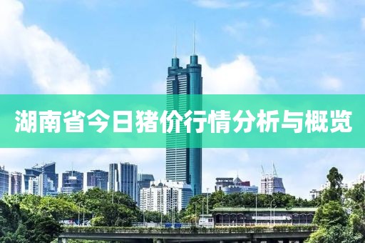 湖南省今日猪价行情分析与概览