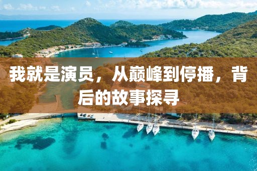 我就是演员，从巅峰到停播，背后的故事探寻