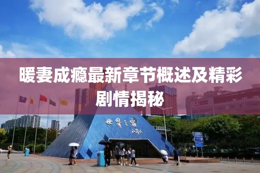 暖妻成瘾最新章节概述及精彩剧情揭秘