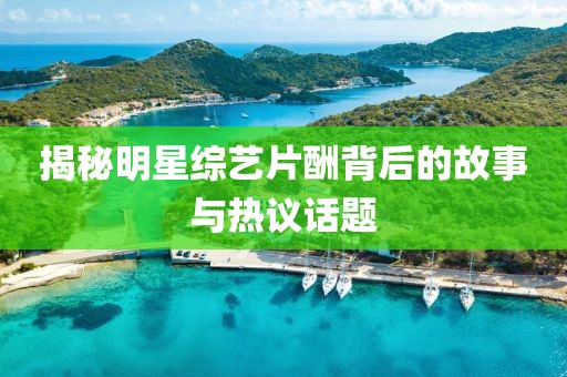 揭秘明星综艺片酬背后的故事与热议话题