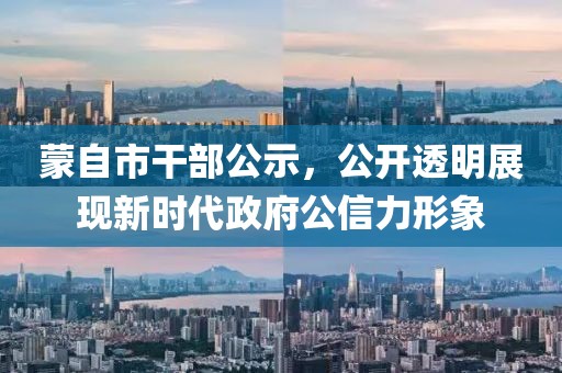 蒙自市干部公示，公开透明展现新时代政府公信力形象