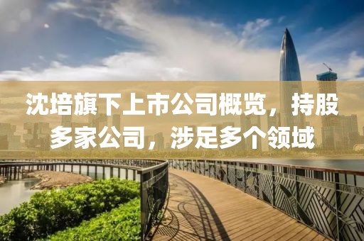 沈培旗下上市公司概览，持股多家公司，涉足多个领域
