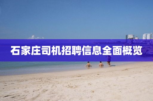 石家庄司机招聘信息全面概览