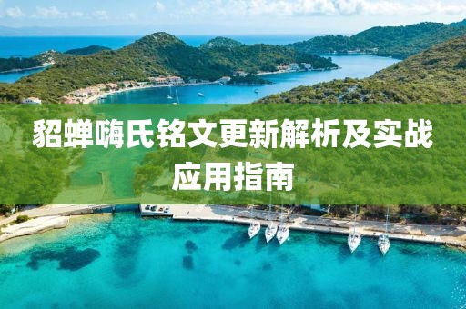 貂蝉嗨氏铭文更新解析及实战应用指南