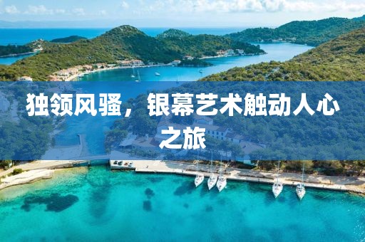 独领风骚，银幕艺术触动人心之旅