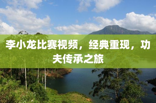李小龙比赛视频，经典重现，功夫传承之旅