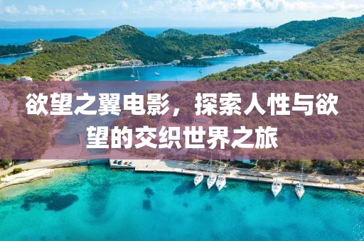 欲望之翼电影，探索人性与欲望的交织世界之旅