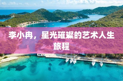 李小冉，星光璀璨的艺术人生旅程