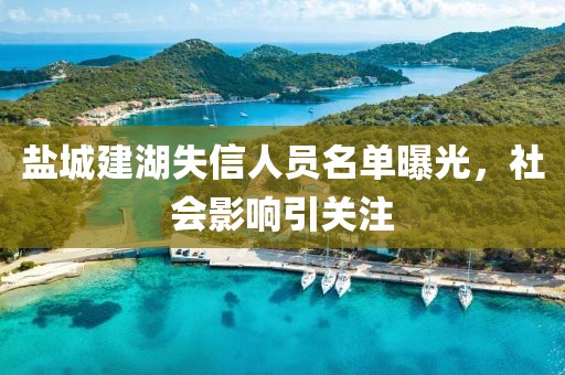盐城建湖失信人员名单曝光，社会影响引关注