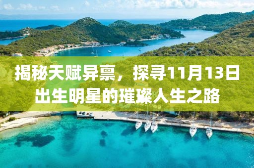 揭秘天赋异禀，探寻11月13日出生明星的璀璨人生之路