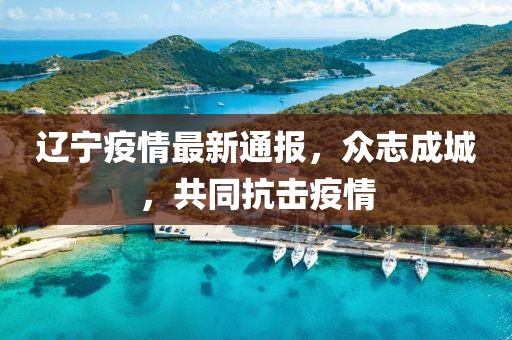 辽宁疫情最新通报，众志成城，共同抗击疫情