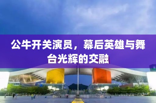 公牛开关演员，幕后英雄与舞台光辉的交融
