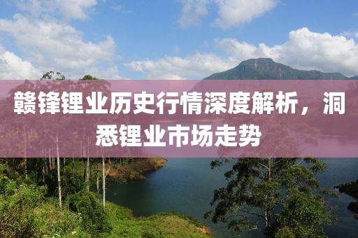 赣锋锂业历史行情深度解析，洞悉锂业市场走势