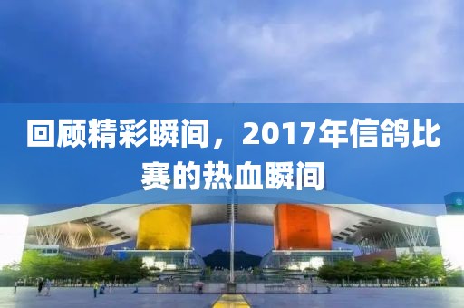 回顾精彩瞬间，2017年信鸽比赛的热血瞬间