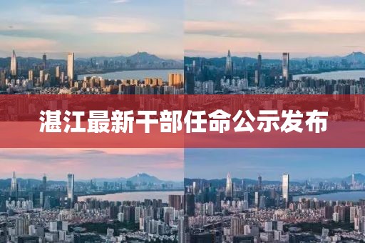 湛江最新干部任命公示发布