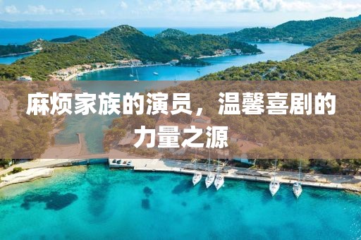 麻烦家族的演员，温馨喜剧的力量之源