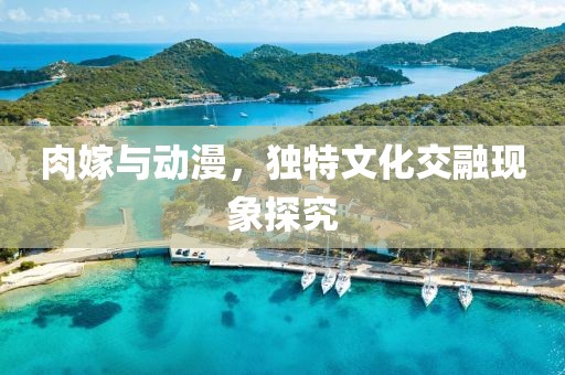 肉嫁与动漫，独特文化交融现象探究