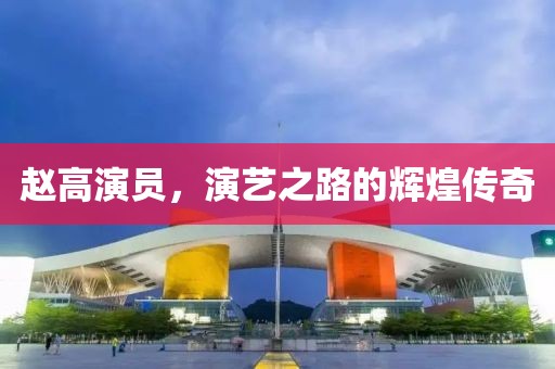 赵高演员，演艺之路的辉煌传奇
