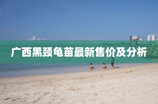 广西黑颈龟苗最新售价及分析