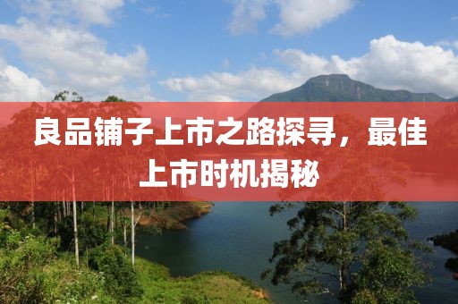 良品铺子上市之路探寻，最佳上市时机揭秘