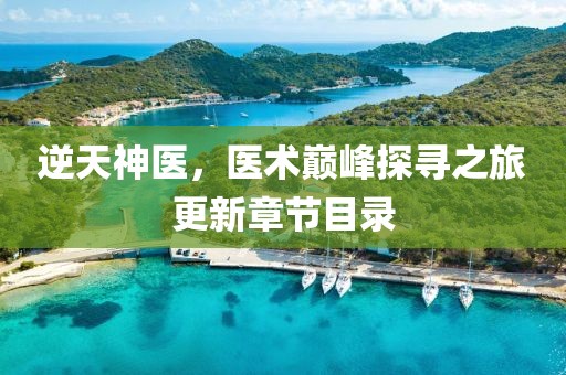 逆天神医，医术巅峰探寻之旅更新章节目录