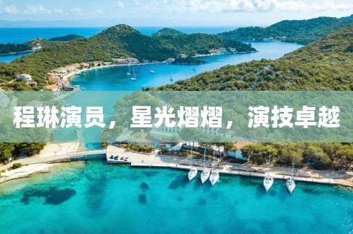 程琳演员，星光熠熠，演技卓越