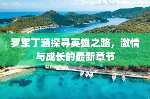 罗军丁涵探寻英雄之路，激情与成长的最新章节