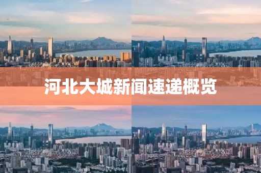 河北大城新闻速递概览