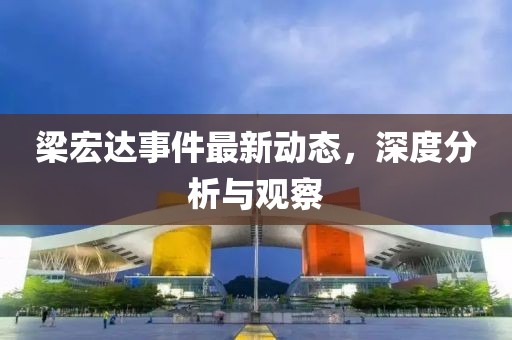 梁宏达事件最新动态，深度分析与观察