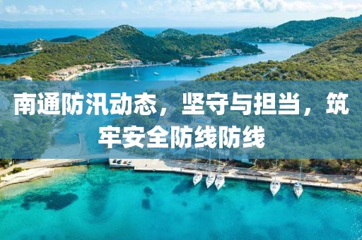 南通防汛动态，坚守与担当，筑牢安全防线防线